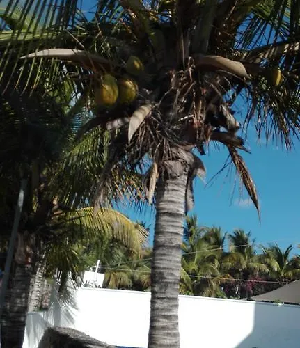 Casa Yaiza Puerto Calero